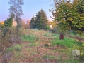 Image du bien UBI450845186